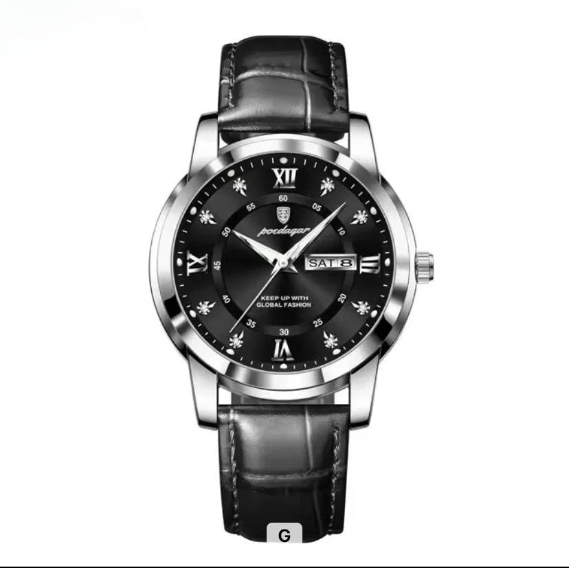 POEDAGAR Man Quartz Watch