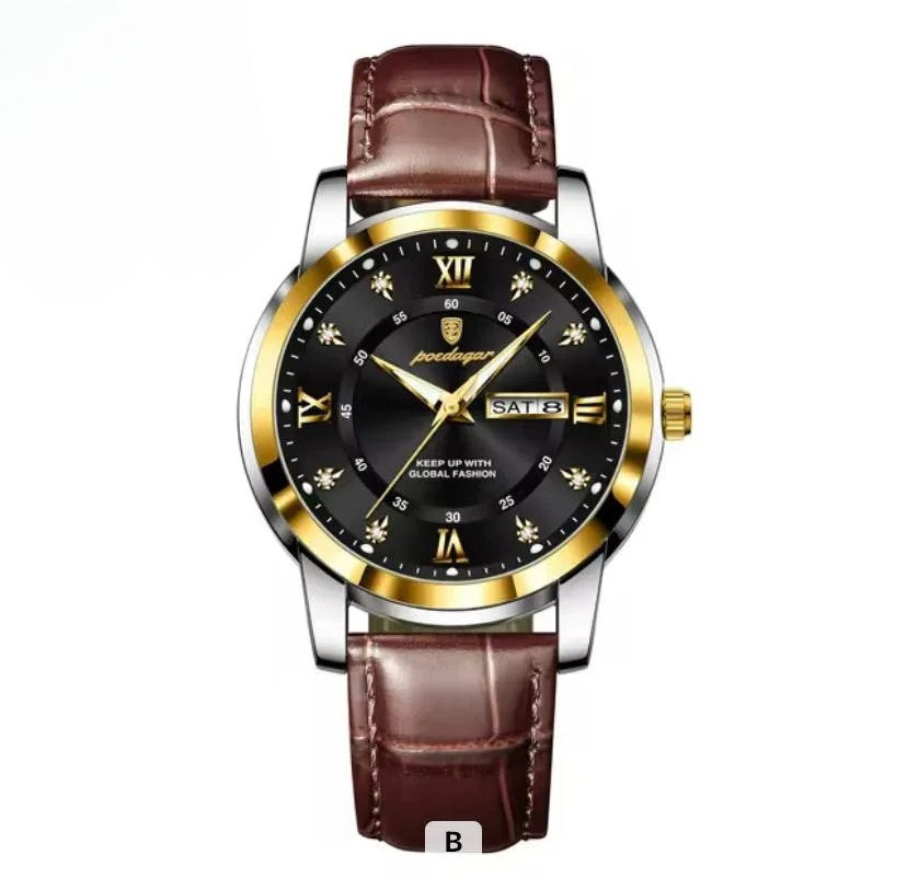 POEDAGAR Man Quartz Watch